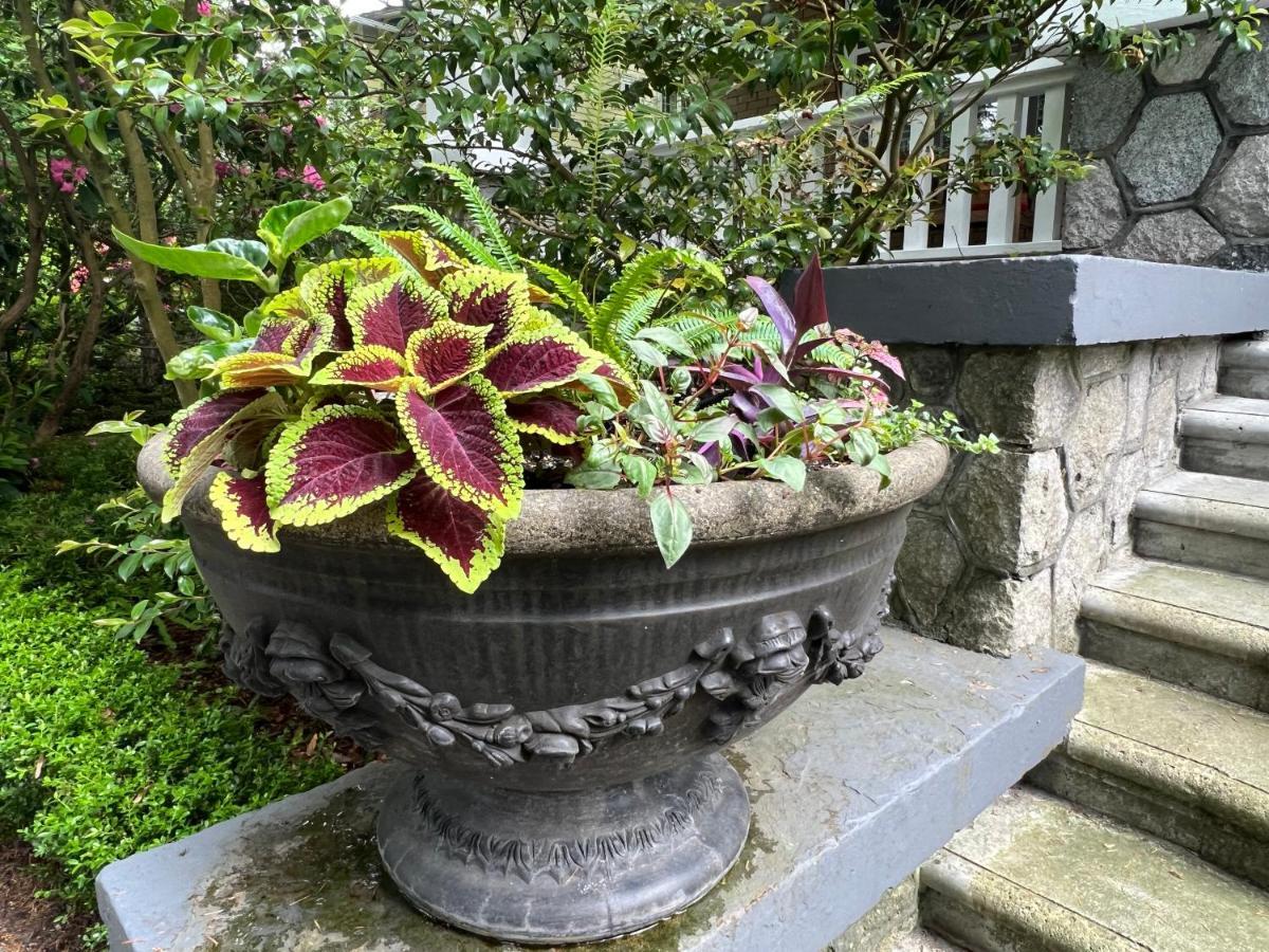 Aristocrathomestay Vancouver Esterno foto